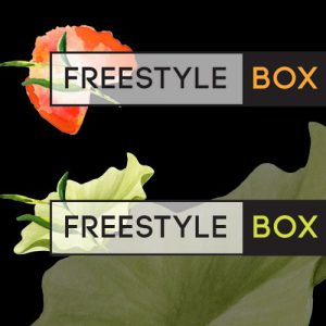 Freestyle Box